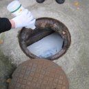 용산-현장-303 이미지