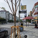 성오로 이미지