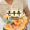 우주 | 이천 꽃집 관고동 플라워카페 온우주 방문후기