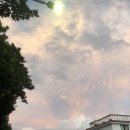 서귀포초등학교 병설유치원 이미지