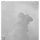 2호집돼지국밥 이미지