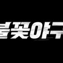 [서울/고척] 불꽃야구 직관 방송촬영 안전요원/진행요원 모집_11월 2일(vs대학올스타) 이미지