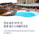 나주온천 | 나주 중흥골드스파리조트 워터락 총정리|객실·요금·할인·주변관광 완벽 가이드 (2026)