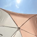 마소물로 2 ↔ 보목동 900-2 | 제주띠예 (2/3)