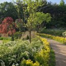 금호지 수변테마공원 이미지