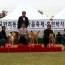 최우수거제 이미지