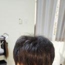 모모즈헤어&증모