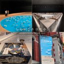댕's day | 뉴욕 미술관 추천, 메트 모마 대신 특별한 전시 2곳