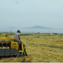 재천본가 이미지