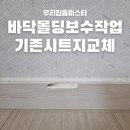 UR(파주시)-[심학산로]-하-5 | 구멍난 바닥몰딩보수작업 기존시트지교체