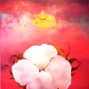 갤러리 빈 이미지