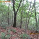 지둔2리 마을회관 이미지