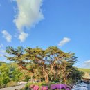 수동연세요양병원 이미지