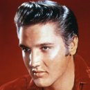 엘비스 이미지