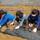 관대초등학교 이미지