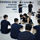 언더독 복싱 킥복싱 MMA 주짓수 체육관 이미지