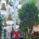 피자포레스트 | 용인 포레스트아웃팅스 후기 피자,파스타♡♡ 빵가격 싸가지