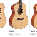 기타(중급) 이미지