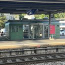 다우마트 | 당일치기 여행 코스 볼거리ㅣ툰 Thun 기차 타는 방법 세이버데이패스 툰성 시가지 쇼다우공원 툰아트뮤지엄