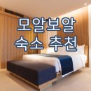 모알보알 숙소 구하는 꿀팁! 나에게 맞는 모알보알 숙소 구하는 방법