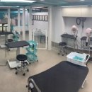 샤워하개 이미지