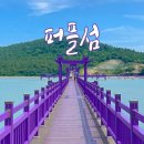 5월 11일(토) 신안 천사섬-보라빛마을(안좌도,박지도,반월도)+퍼플교 트레킹♡45,000원 .조중식(찰밥).28,36석리무진운 이미지