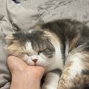 언양동물병원 이미지