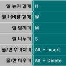 칸Ⅱ 이미지