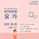 효성요가
