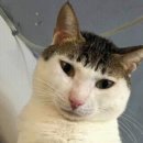 엄마사랑화장실 이미지