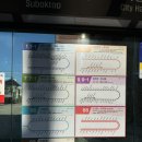 속초 가볼만한 곳, 동명항 오징어난전 &amp; 유람선야식 (오징어회, 대중교통, 포장) 후기