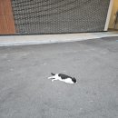 윤카페 이미지