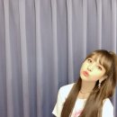 노란병아리 이미지