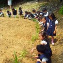 연화유치원 이미지