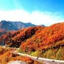 한계령 티스토리