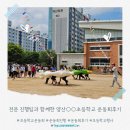 서남초등학교 | 전문 진행팀과 함께한 양산○○초등학교 운동회후기