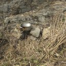 진도약초 이미지