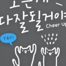 메리골드헤어 이미지