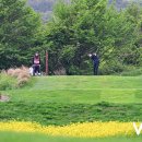 ㈜영안모자 이미지