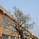 장흥장평중학교 이미지