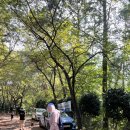 몽이네쉼터 이미지