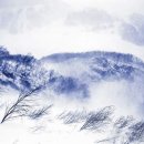 장백산 이미지