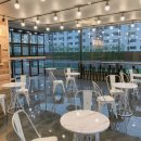 루프앤독 이미지