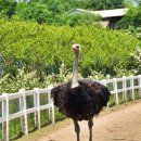 한국아그로 이미지