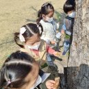 강원경찰청어린이집 이미지