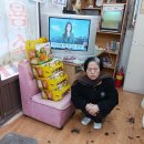 고려이용소 Daum카페