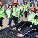 문교초등학교 이미지