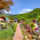 나무와돌펜션 이미지