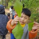 산새들어린이집 이미지