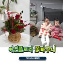 아인플로라
